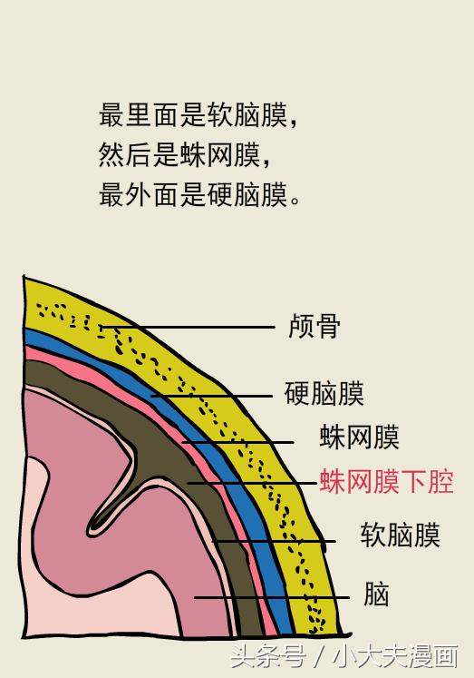 熊猫医生看病,熊猫医生图