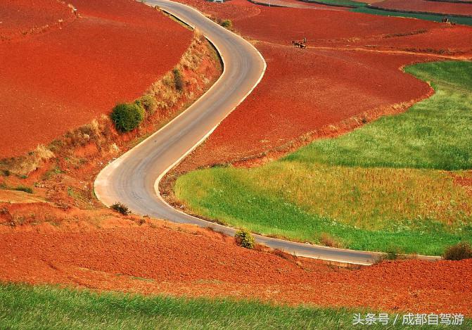 东川红土地距离元谋土林有多远,元谋土林东川红土地
