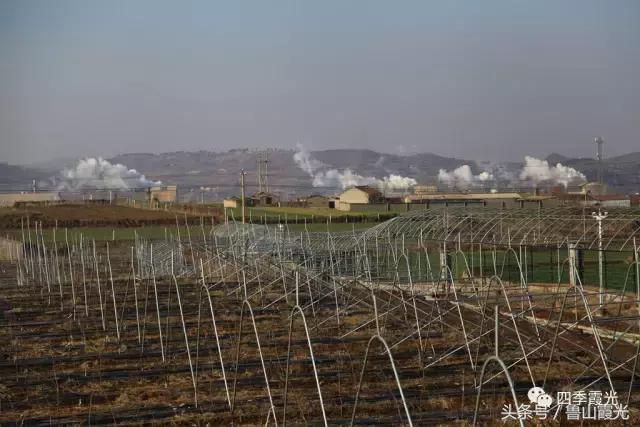 魅力龙泉,龙泉镇富硒采摘园