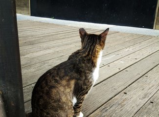 吃货的天堂推荐,吃货的天堂潮汕