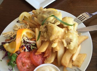 新西兰房车15天攻略,房车旅行记新西兰