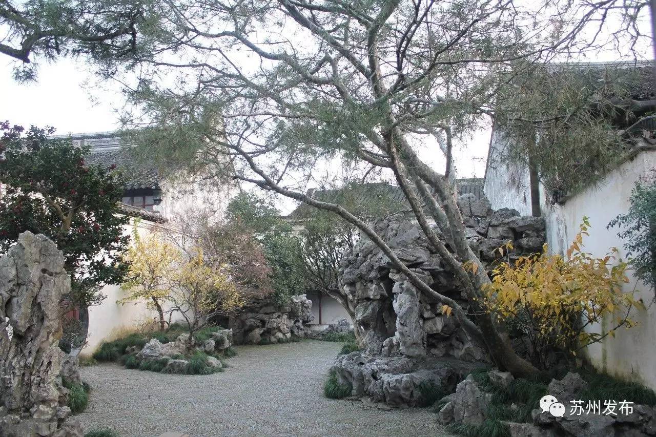 网师园里访腊梅:香密染成宫样黄……