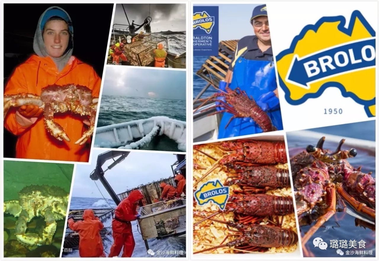 澳加新英美的稀奇海鲜都能在常州这家店吃到！而且元旦连送3天日本松叶蟹！