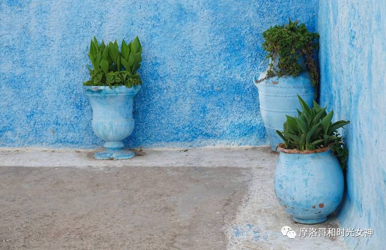 涓浗娓稿涓嶆兂鍘诲鍥界帺,鎽╂礇鍝ュ崥鐗╅