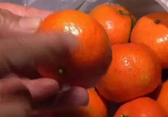 云南各种奇怪水果,云南奇特水果是染色的吗