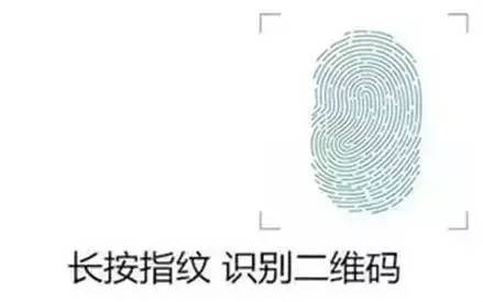 足球青少年人才培养模式,青少年足球崛起