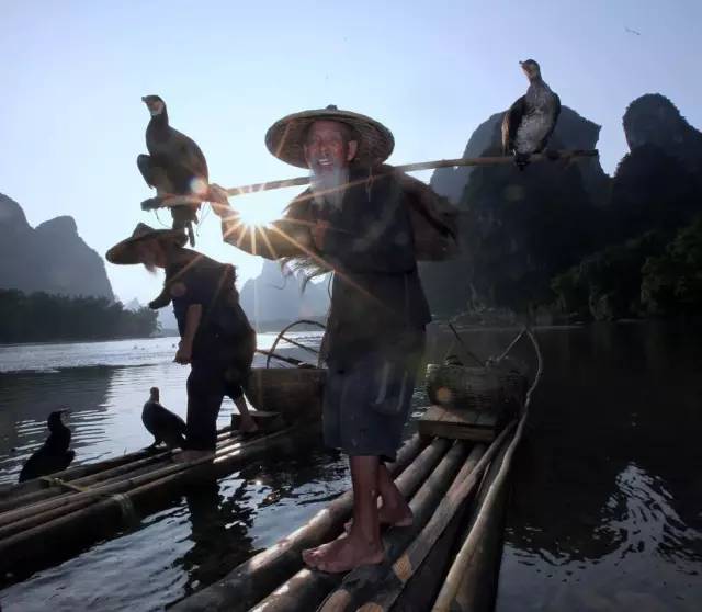 漓江老渔翁老照片,桂林山水渔翁与鸬鹚夜景高清图片