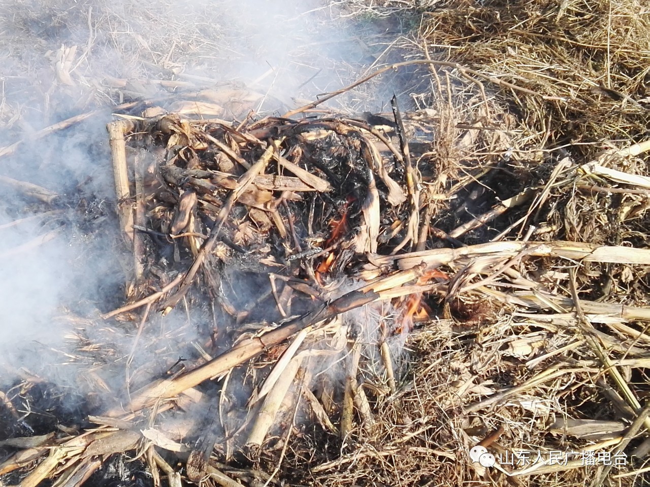 淄博济南雾霾,济南雾霾最严重的地方