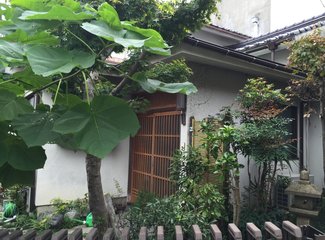 新世纪号邮轮旅游攻略,家庭游轮出游