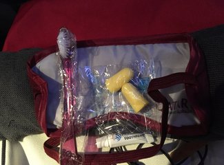 法兰西板鸭,板鸭西班牙语