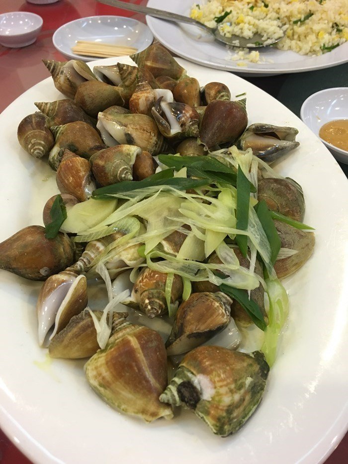 暑假新加坡马来西亚自由行,寒假带孩子去新加坡游玩攻略