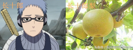 火影忍者忍刀七人众的武器图片,火影忍者忍刀七人众简介