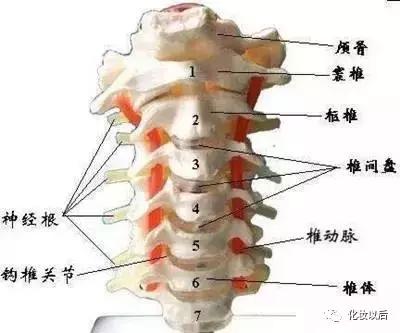 额头长痘痘中医分析原因怎么调理,额头和脸颊反复长痘痘是什么原因