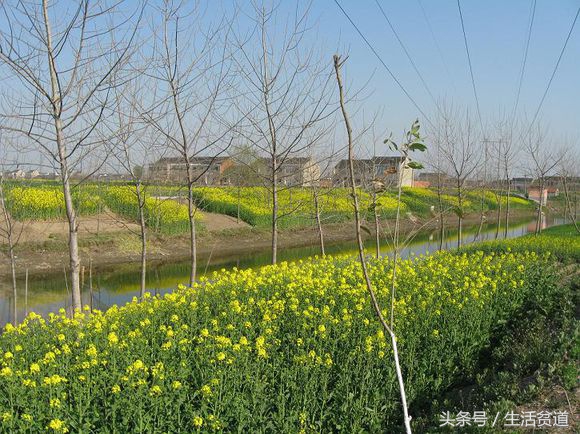开封以前差点成为首都吗,开封是一座有历史底蕴的城市吗