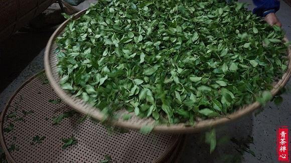 为什么同样的茶没上次好喝,铁观音为什么这么难买