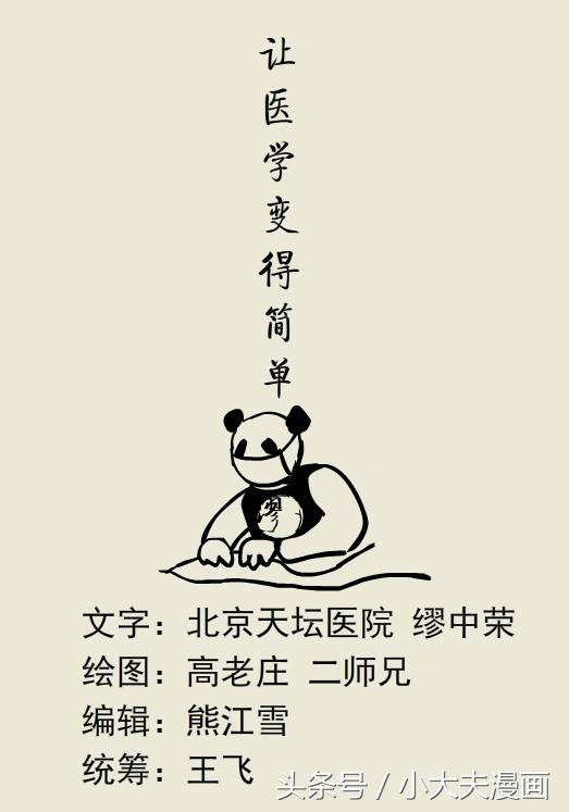 熊猫医生看病,熊猫医生图