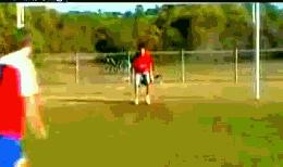 足坛15大诡异进球gif,足坛搞笑gif