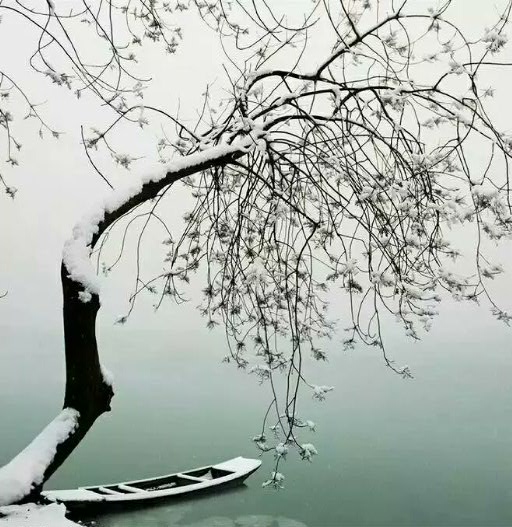 风吹腊梅香的诗句,风吹腊梅香时至小寒