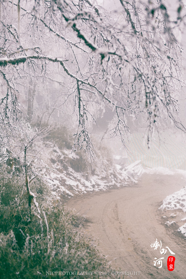 「成都躲霾攻略」喇叭河的圣诞奇缘