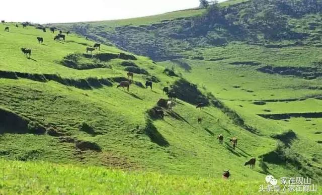 砚山由来,砚山取名