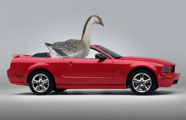 闪电速记单词书,闪电速记口诀