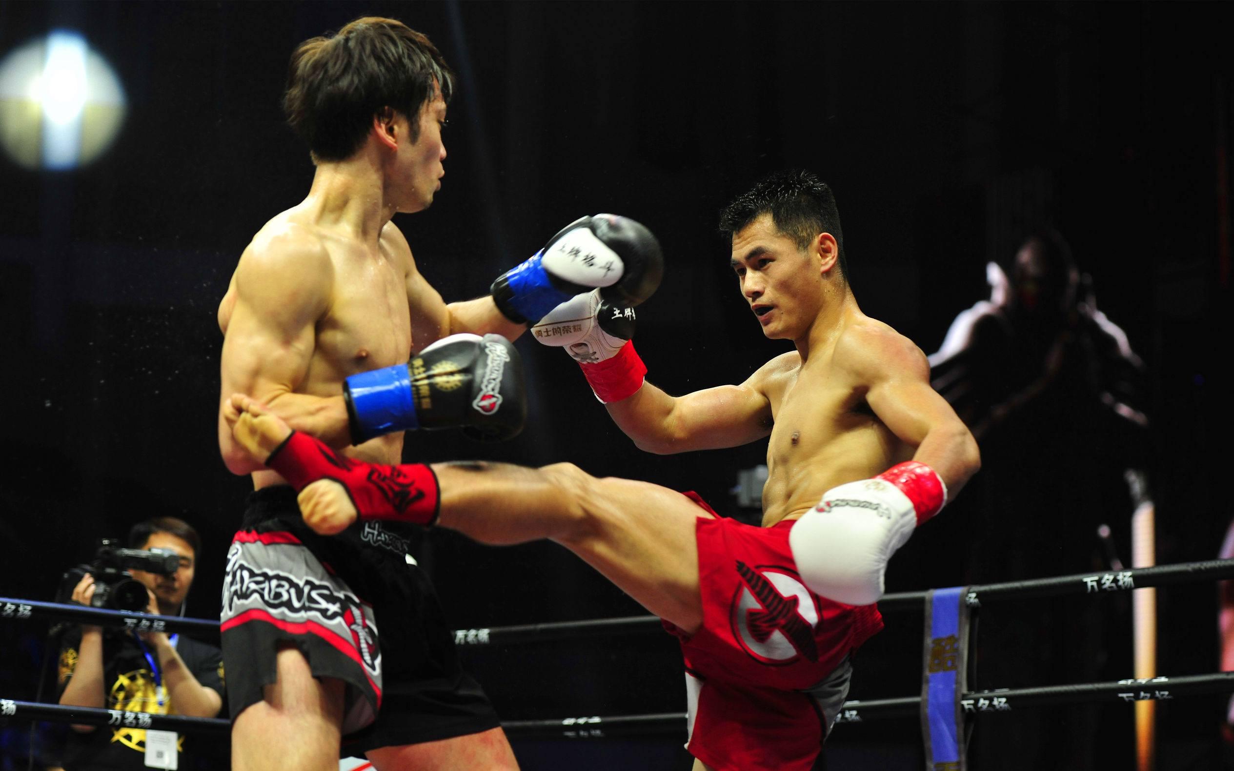 五虎上将的战绩,五虎上将最辉煌的时候