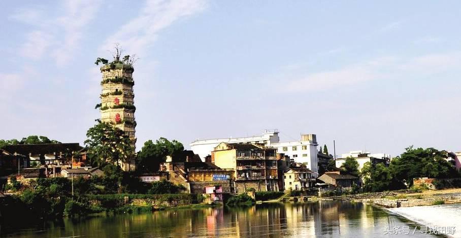 乡食记——袁复生：猪血丸子的“*弹炸**”传说