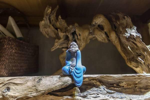 乾隆六下江南去的是哪些地方,徐志摩家乡旅游攻略