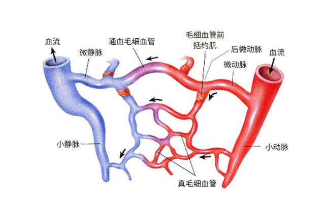 种完“草莓”不想虐狗？3min去除吻痕技能get√