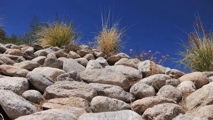 如何克服恐惧感训练,如何克服恐惧感和焦虑