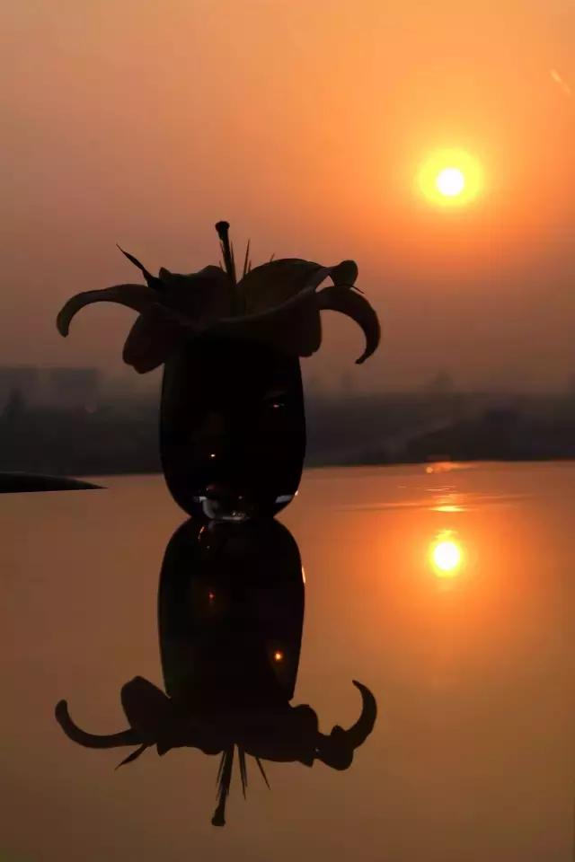 去上海国家会展中心路线,国家会展中心上海洲际酒店