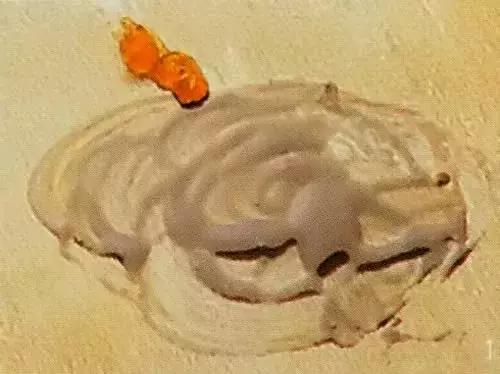 古典油画大师油画技法,很全的绘画教程