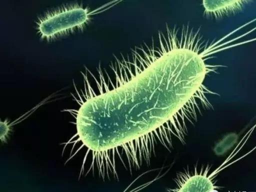 支原体妇科炎症有哪些表现,妇科宫颈炎症有哪些症状表现