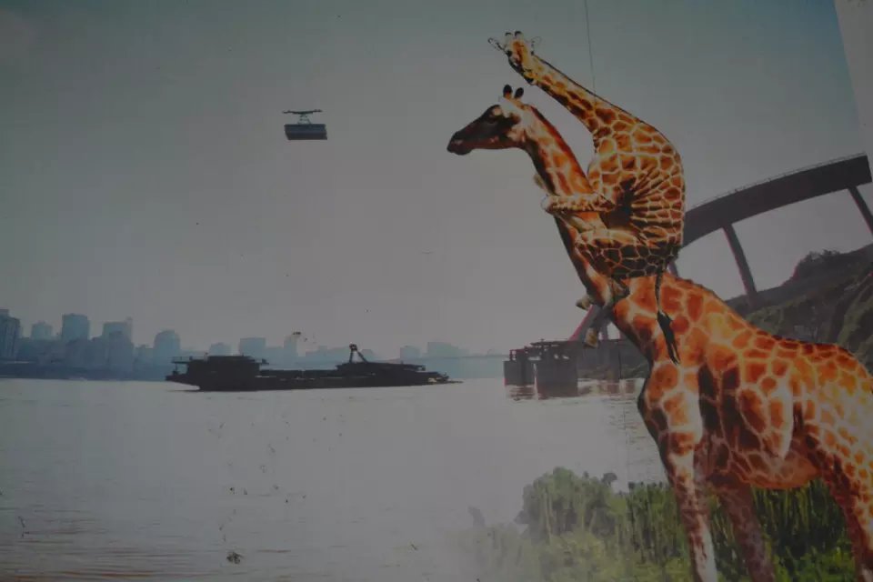 什么是代沟意思,什么是代沟英语