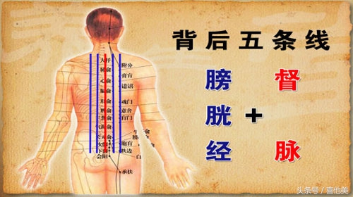 膀胱经为什么会堵呢,膀胱经严重堵了