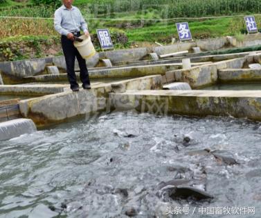 农村创业,可以做哪些项目呢?