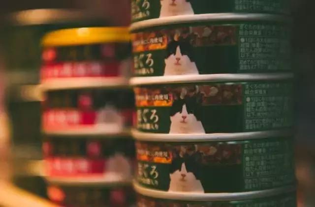 成都宠物寄养基地,成都狗狗寄养