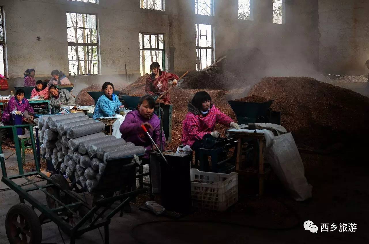 中国美劳动美主题摄影,劳动最美摄影大赛作品护士