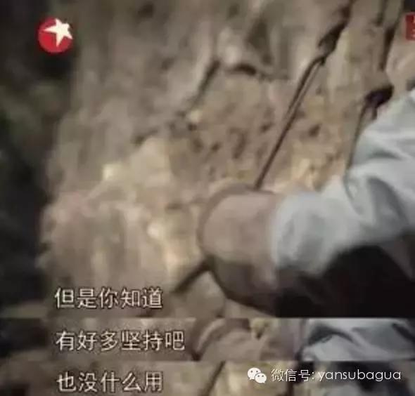 大张伟到底抄袭了吗,大张伟为什么抄袭