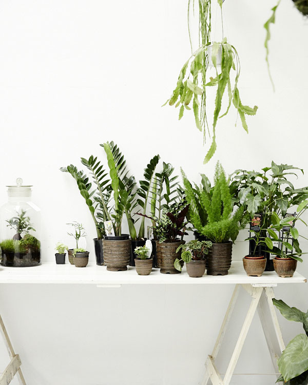 你是否也想拥有一家花店 (每个女孩心中都有一家美好的花店)