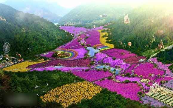 醉美的花海美景,醉美的花海视频