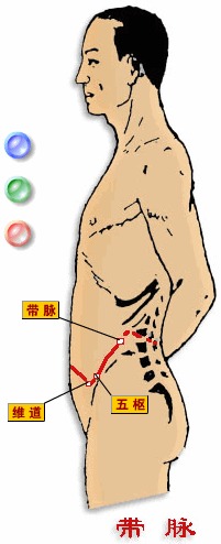 减肥对妇科的帮助,减肥子宫排毒