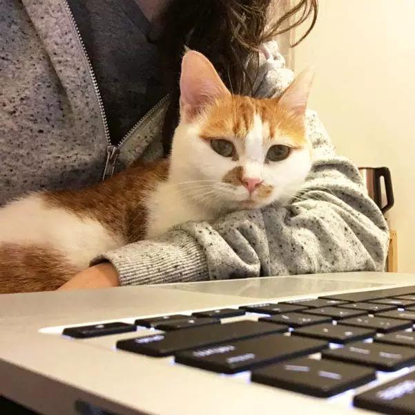 「2月上海春季」有爱领养