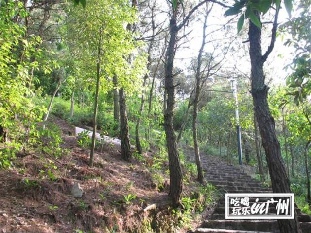 广州最新最美最好玩的景点,广州最值得去玩的景点推荐一下