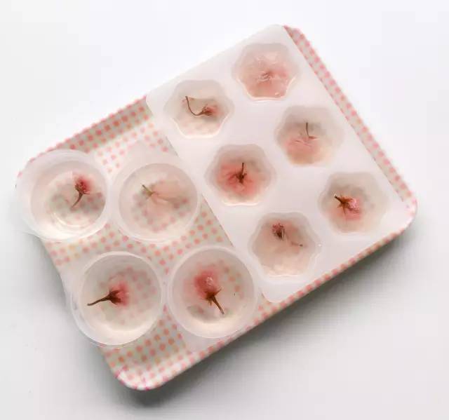 吃下这一口少女心！嗷呜！