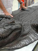 春节去泰国旅游好吗,泰国必买这10种手信便宜好用