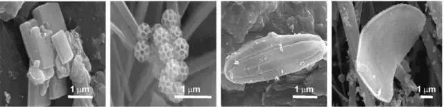 躲不开的雾霾天,躲不开的雾霾