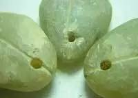 支付宝十年账单为什么那么多,支付宝支付账单为什么要刷脸