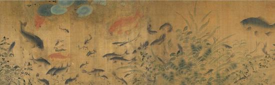 小男孩看鱼的视频,小男孩看鱼