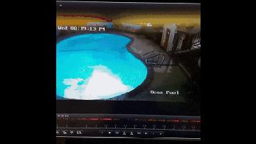 快餐光凭一张照片就能判定你是否*男处**?